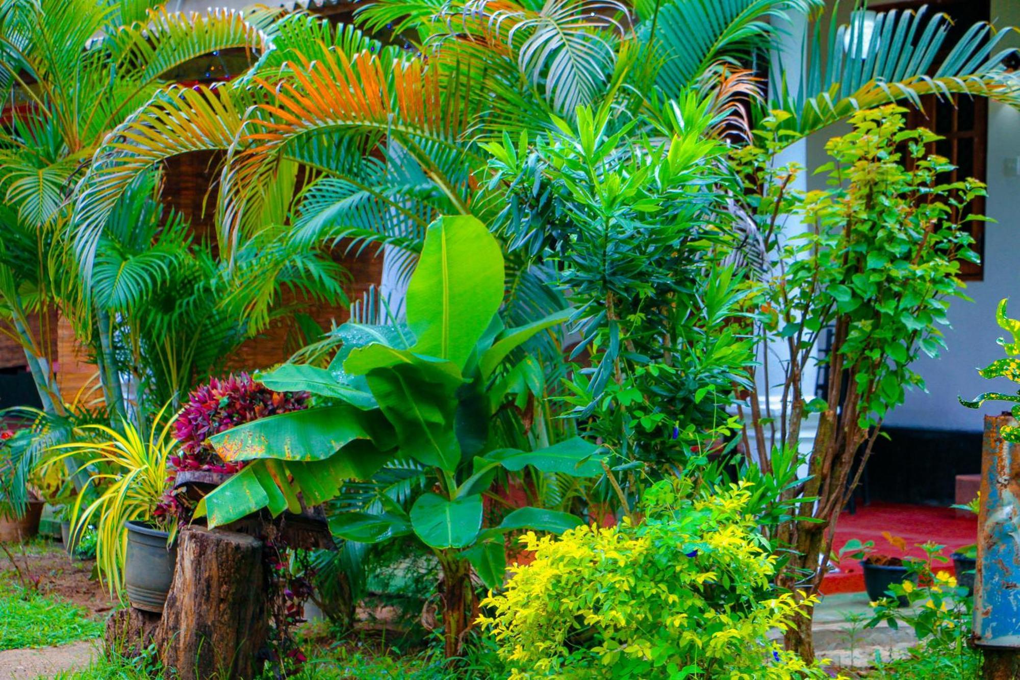Chanaka Holiday Inn Sigiriya Exterior photo