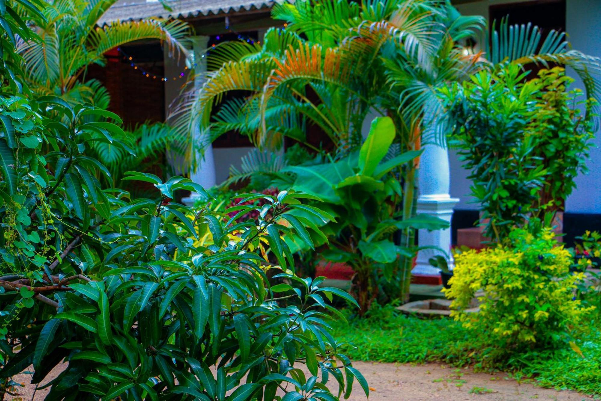 Chanaka Holiday Inn Sigiriya Exterior photo